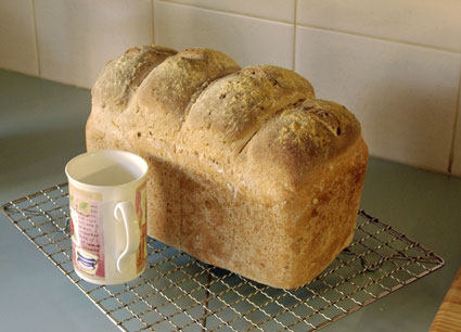 gluten free grain bread lge