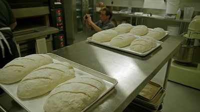 new freedom gluten free bakery vienna loaves rising